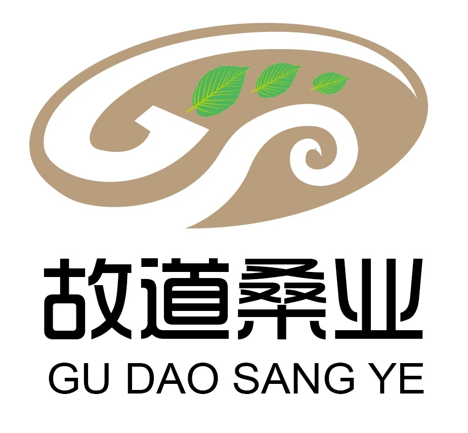 喝茶就可以防脫生發(fā)，太神奇了！桑葉養(yǎng)生茶
