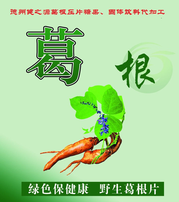 葛根，男女通用的人體調(diào)理專家