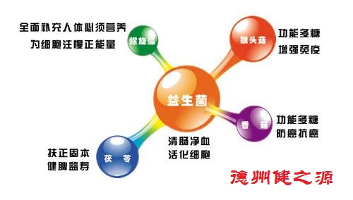 夏天腸胃問題頻發(fā)，您應(yīng)該用益生菌了
